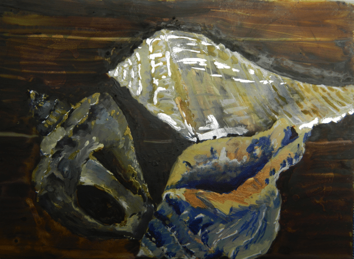 3 Horse Conch Shells by Jan Sorenson Hill